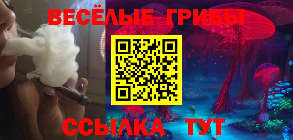 Галлюциногенные грибы Magic Shrooms Черкесск